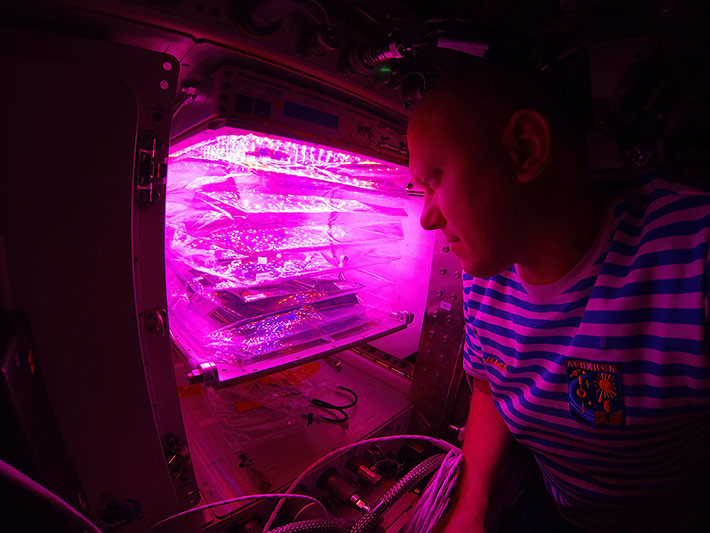 Veggie Plant Growth System Activated on International Space Station