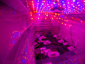 Veggie Plant Growth System Activated on International Space Station