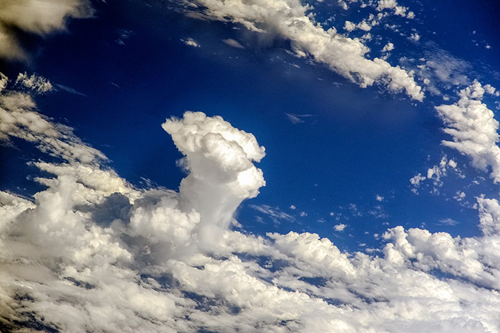 Cloud - Mushroom