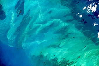 Earth Paints - Marquesas Keys, Florida, USA