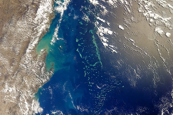 Coral reefs near Australia's East Coast