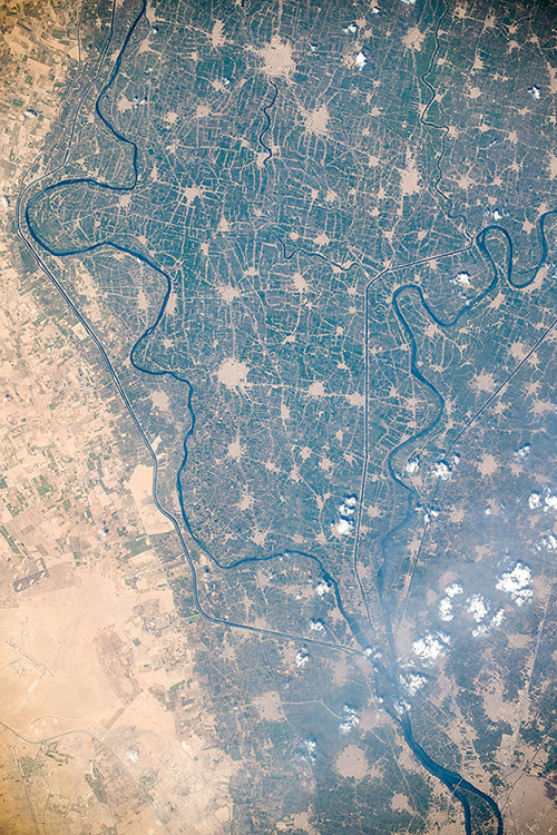 Egypt. Nile Delta