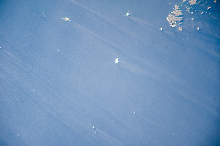 Icebergs near the coast of Canada